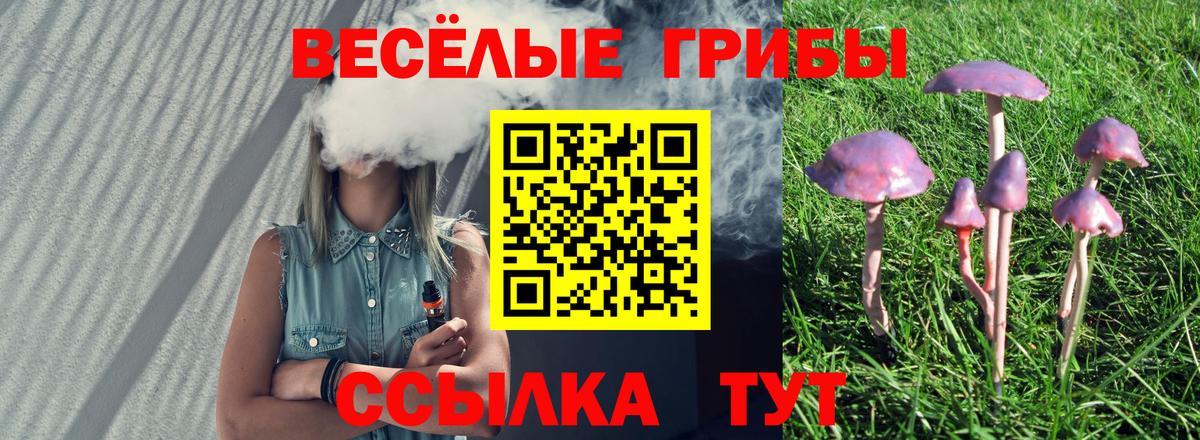 Галлюциногенные грибы мицелий  Галлюциногенные грибы MAGIC MUSHROOMS  Гусев  купить   Вход с VPN 