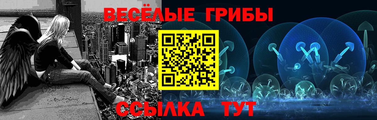 Псилоцибиновые грибы Psilocybine cubensis Гусев
